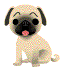 [Avatar]